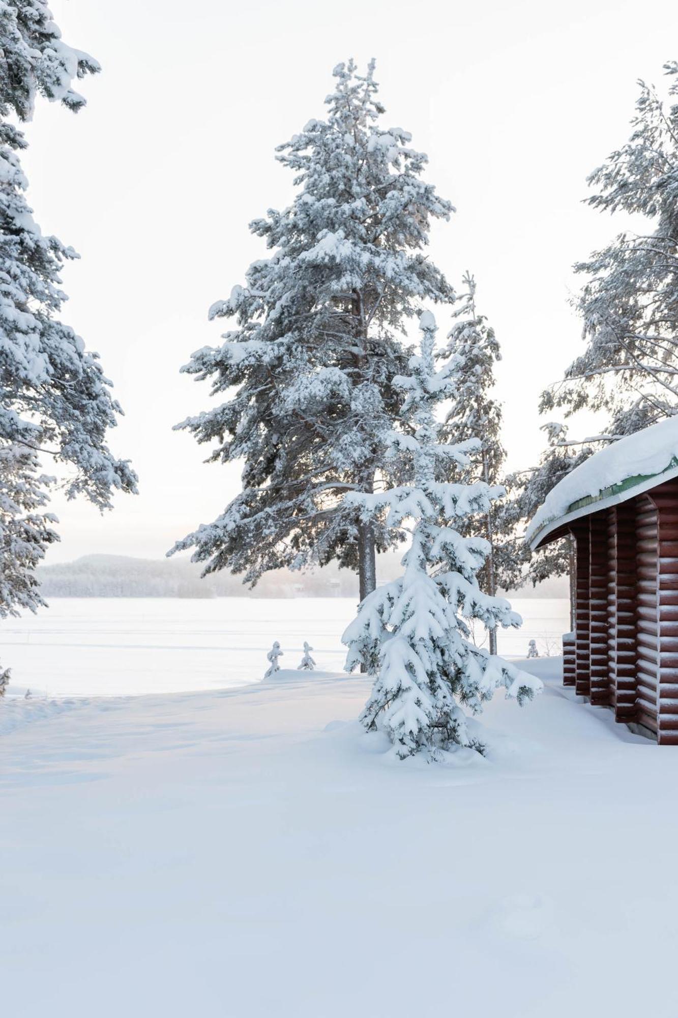 Lapland Arctic Cabins Kemijärvi Exteriör bild