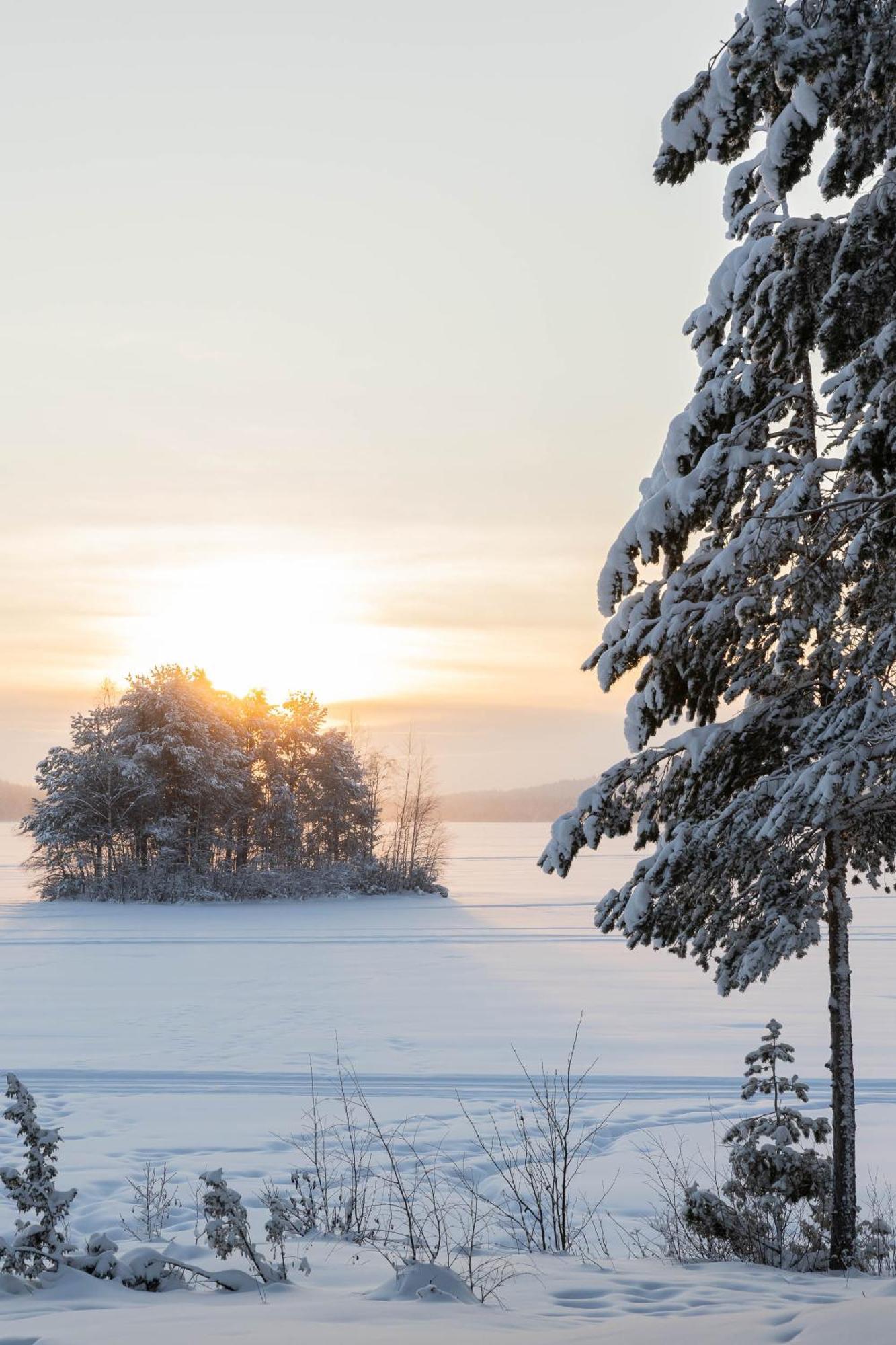 Lapland Arctic Cabins Kemijärvi Exteriör bild