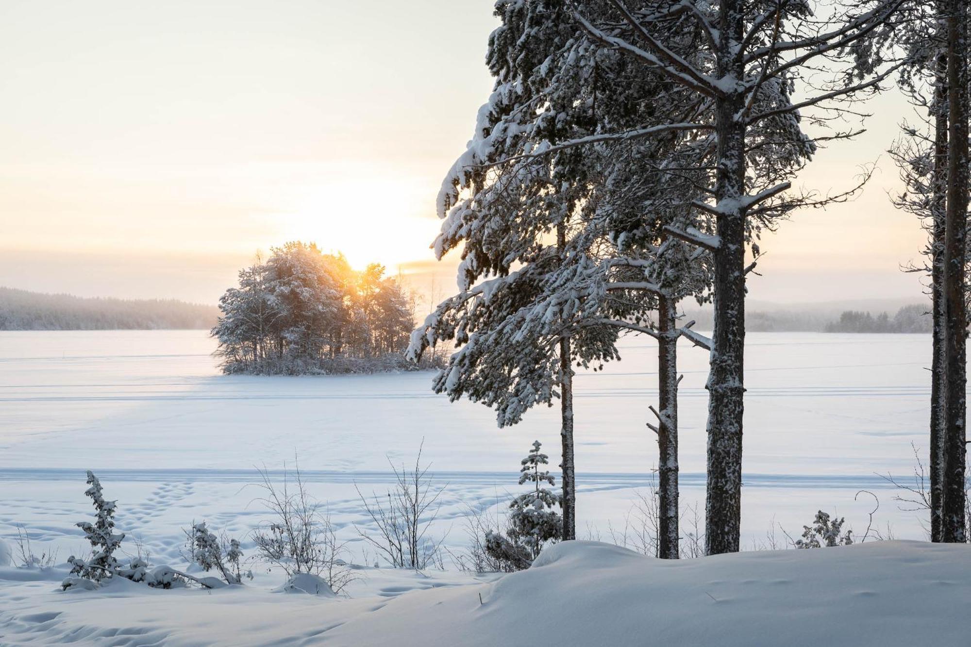 Lapland Arctic Cabins Kemijärvi Exteriör bild