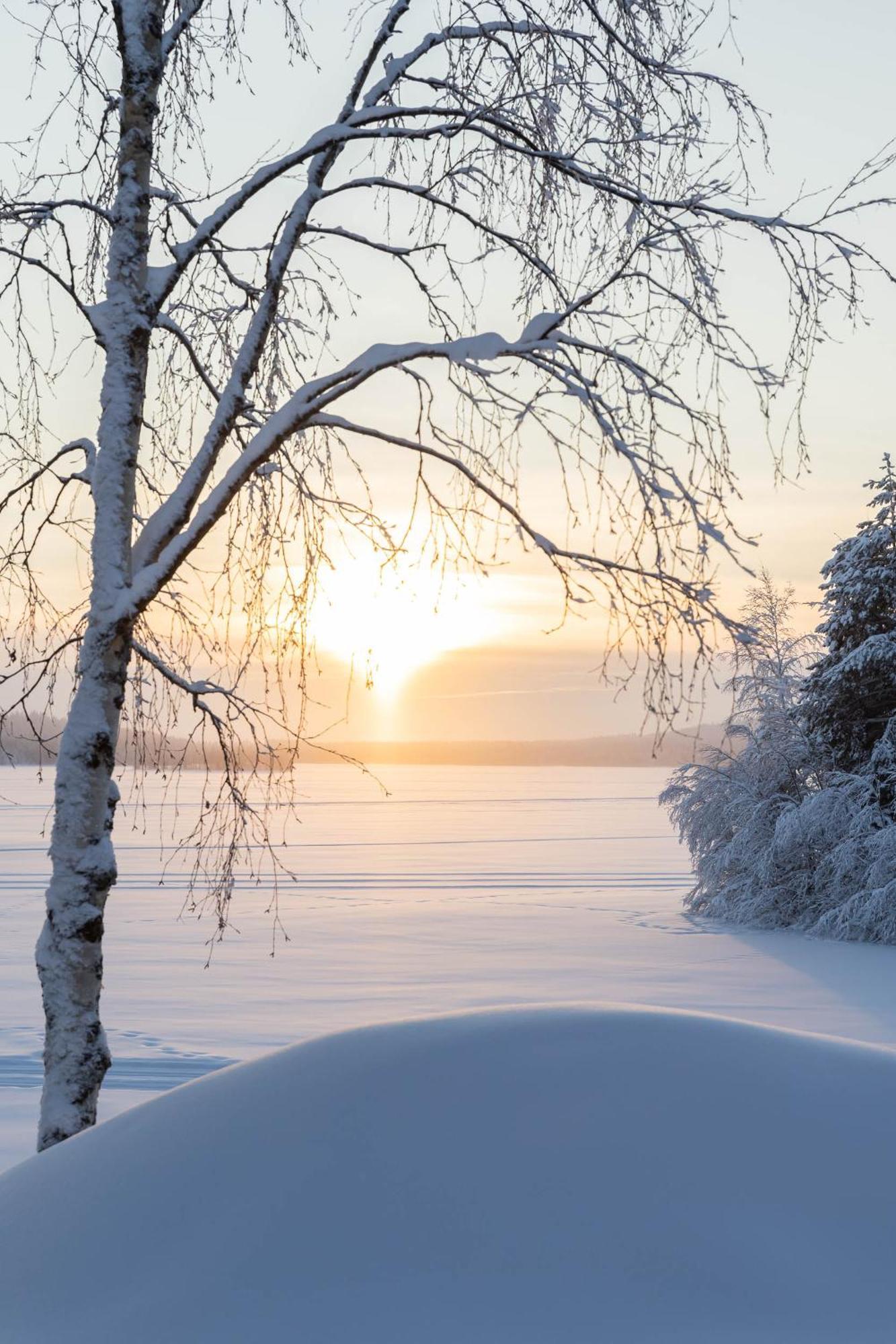 Lapland Arctic Cabins Kemijärvi Exteriör bild