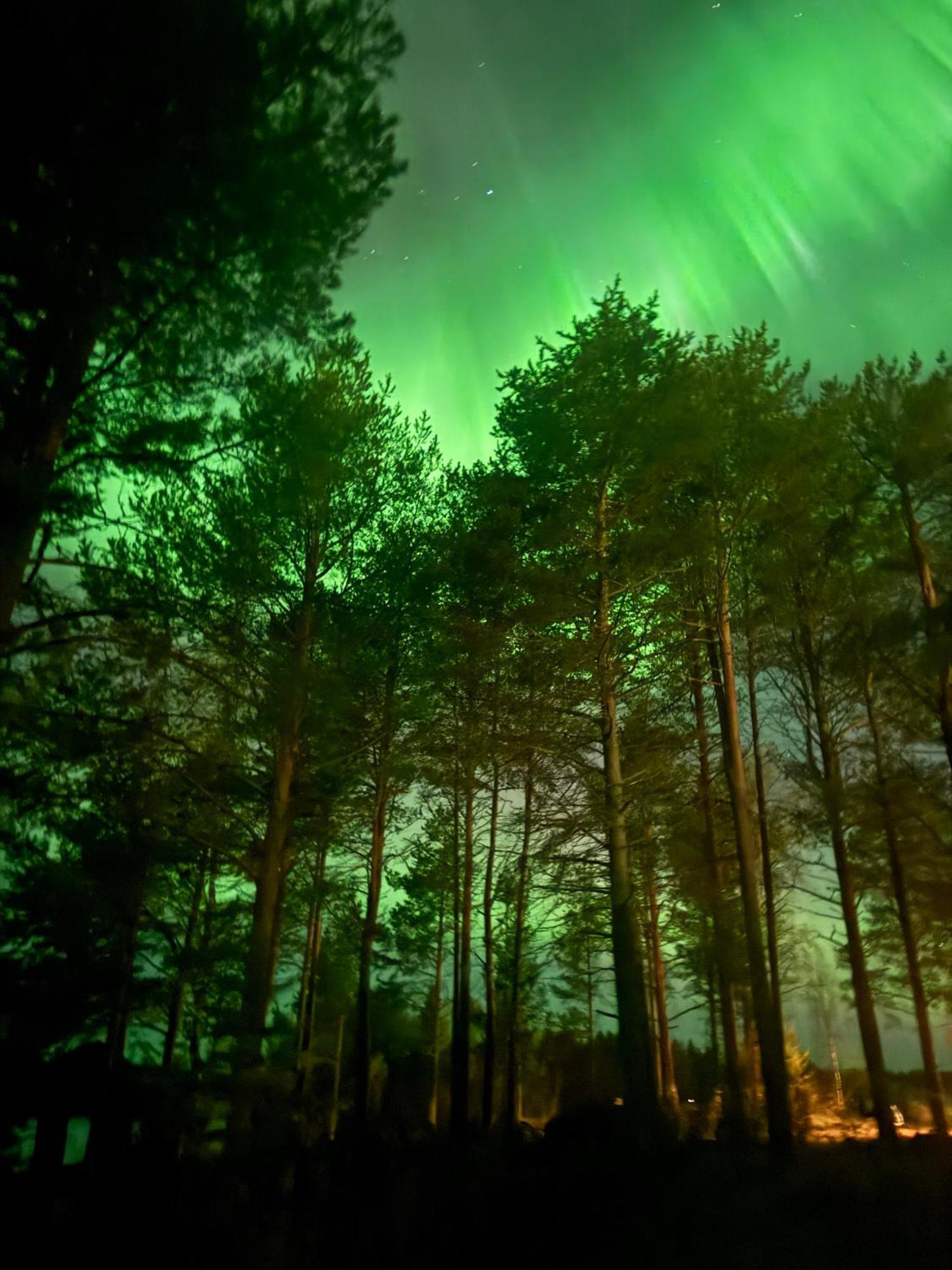 Lapland Arctic Cabins Kemijärvi Exteriör bild
